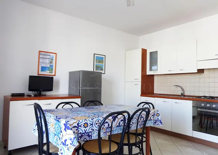 Solaris Due 托雷莫泽